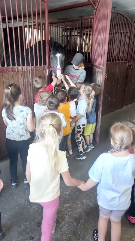 Program '' Godzinka z rodzinką''